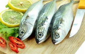 Mackerel/Ayala/Bangda/Aylai (5 to 9 Count/kg) | Cut Piece | 480g to 500g Pack |Fresh | Never Frozen