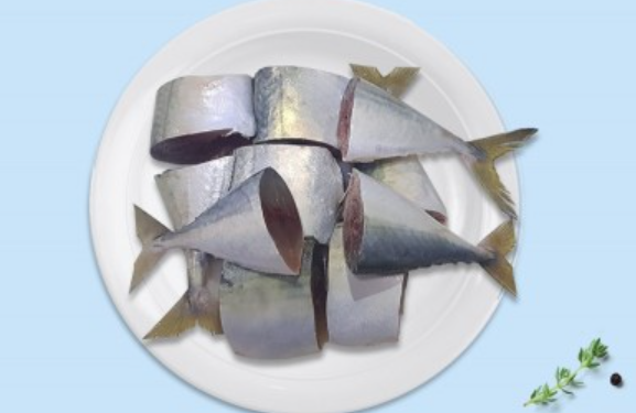 Mackerel/Ayala/Bangda/Aylai (5 to 9 Count/kg) | Cut Piece | 480g to 500g Pack |Fresh | Never Frozen