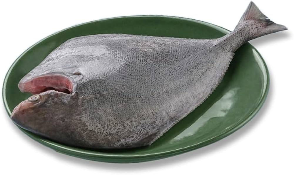 Fresh Black Pomfret / Avoli / 500g to 600g Whole / Slice Piece