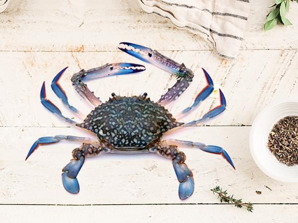 Blue Crab Fresh Net Wt: 980gm to 1kg