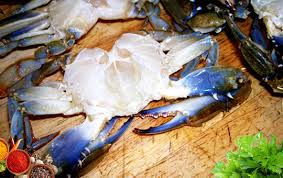 Blue Crab Fresh Net Wt: 480gm to 520gm