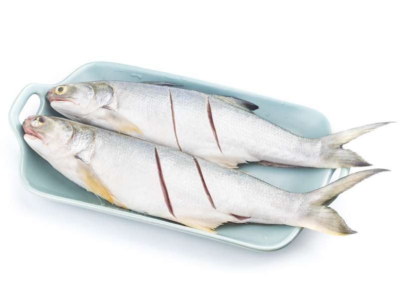 Indian Salmon Fish Fresh | Curry Cut|  Gross Wt: 980g to 1.2kg