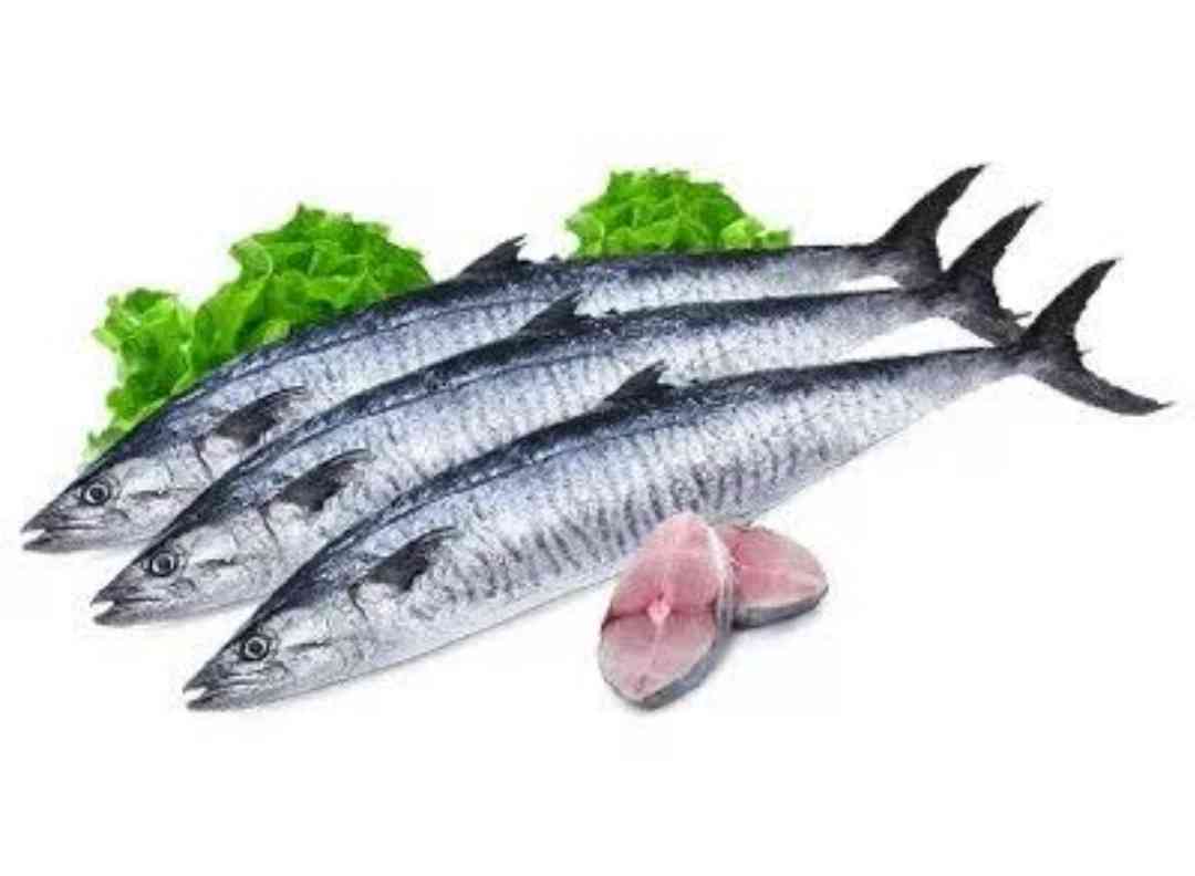 Seer Fish/King Fish/Surmai/Neymeen/Vanjaram | Cube/ Curry Piece| 980g to 1kg Pack | fish size: 7kg | Fresh | Never Frozen